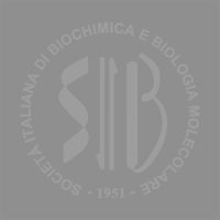 SIB-placeholder